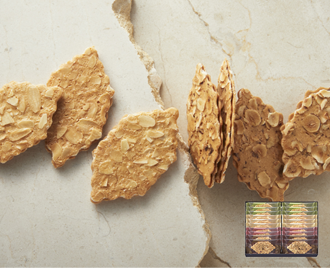 モロゾフ ファヤージュ